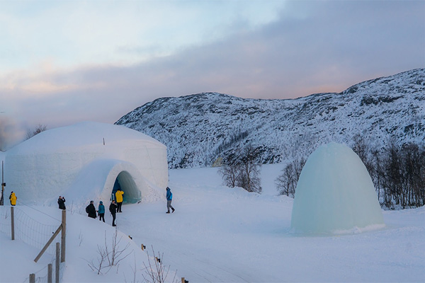 Arctic